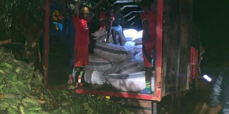 118 Bags Of Cocoa Beans Intercepted At Bunkpurugu; Four Arrested