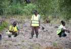 MTN Ghana Plants 1,666 Trees to Restore Degraded Chipa Forest Reserve