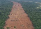 Mahama To Receive Cleared Accra-Kumasi Expressway Right-Of-Way Today