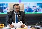 BoG to Roll Out New Cedi Notes for All Eight Denominations