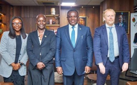 Sam George, French Ambassador Discuss Stronger Digital Cooperation