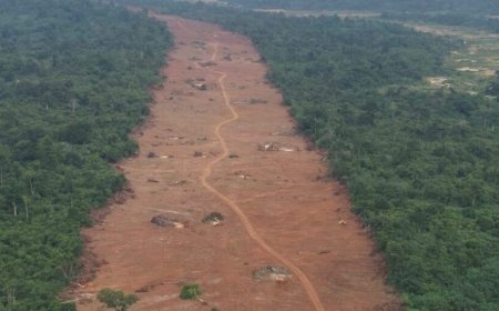 Mahama To Receive Cleared Accra-Kumasi Expressway Right-Of-Way Today