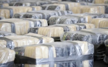 10 Arrested Over Drug Trafficking Probe, Including 4 GRA Customs Officers