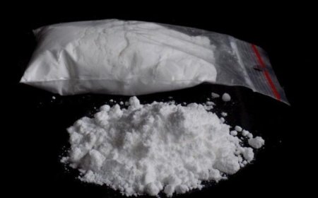 Court Denies Bail to Six Accused Over 3.9-Tonne Cocaine Shipment to France