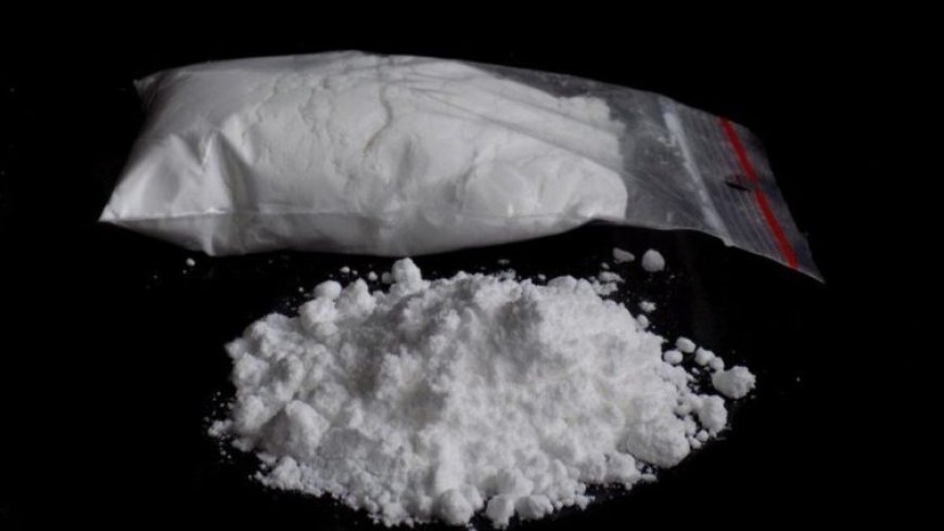 Court Denies Bail to Six Accused Over 3.9-Tonne Cocaine Shipment to France