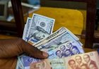 Cedi Loses Over 11% Against Dollar As Import Demand, Energy Costs Bite