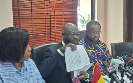 Minority Calls For Audit Of GH¢49.72m Spent On South Africa Evacuation