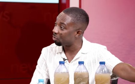‘Stop Bringing Akufo-Addo Into Galamsey Debate’ – Miracles Aboagye Tells NDC