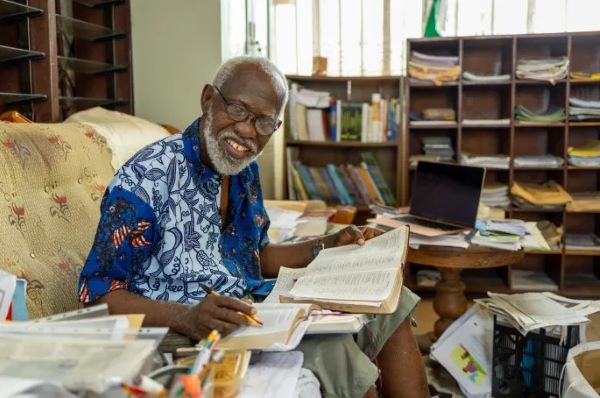 Experience in Akufo Addo’s Government: Prof. Stephen Adei to release an explosive book ’15 Months in the Lion’s Den’