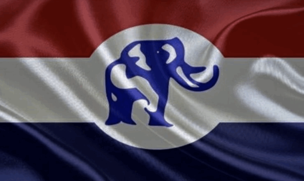 npp-to-elect-2028-flagbearer-on-january-31,-2026